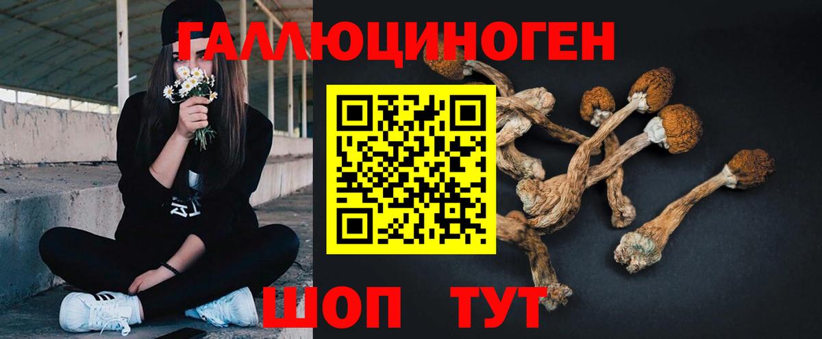 Псилоцибиновые грибы Cubensis  Вход с VPN  Псилоцибиновые грибы ЛСД  Баксан 